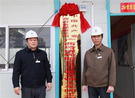 發揮戰斗堡壘作用！冶建又一個項目部黨支部揭牌