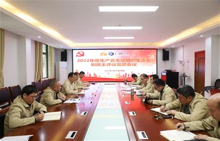 廖立波、唐峰、何勇以普通黨員身份參加所在黨支部2022年度組織生活會